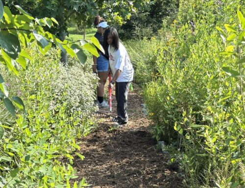 Braving the Heat for a Greener Future: Volunteer Day with VCU