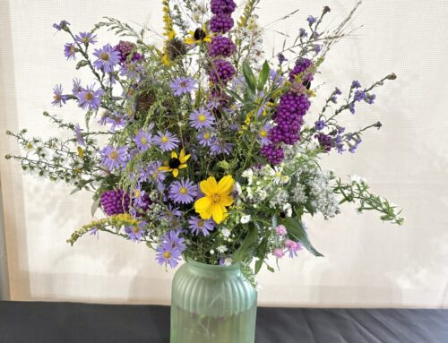 Celebrating Native Plants and Healthy Soil at the Virginia State Fair